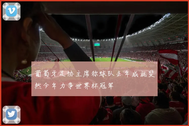 葡萄牙足协主席称球队去年成就斐然今年力争世界杯冠军