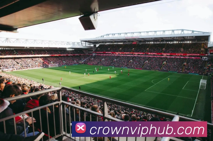 皇冠体育平台生态图