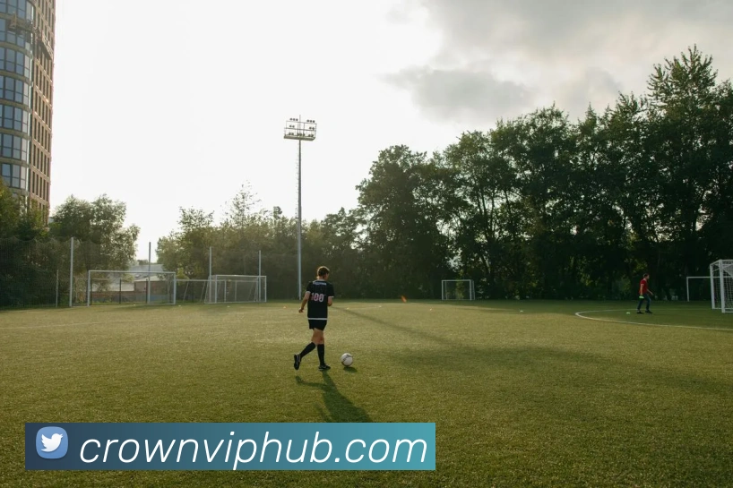 皇冠体育APP 封面图